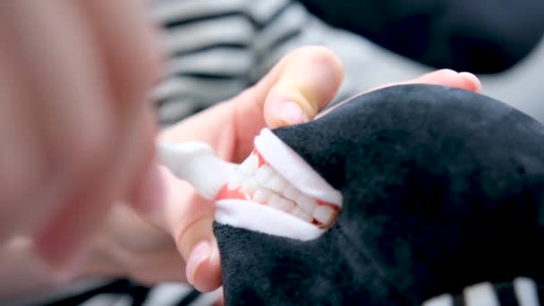 歯を正しく閉じる巨大な歯のおもちゃを磨く方法マネキンに歯を磨く医師の動物の手は 子供にそれを正しく行う方法を示しますZebra柔らかいおもちゃ歯科の子供たちのレッスン就学前の年齢 — ストック動画