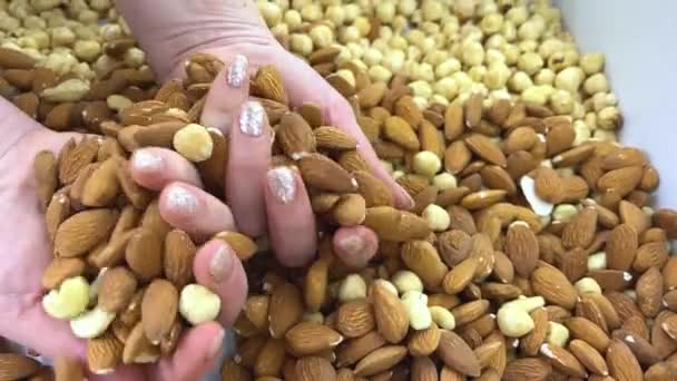 Nuts Background Hazelnuts Walnuts Brazilian Nuts Pecans Pistachio Almonds Cashews — Stockvideo