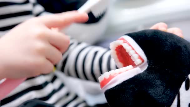 Liten Flicka Gammal Borsta Tänderna Mjuk Leksak Käken Demonstration Barn — Stockvideo