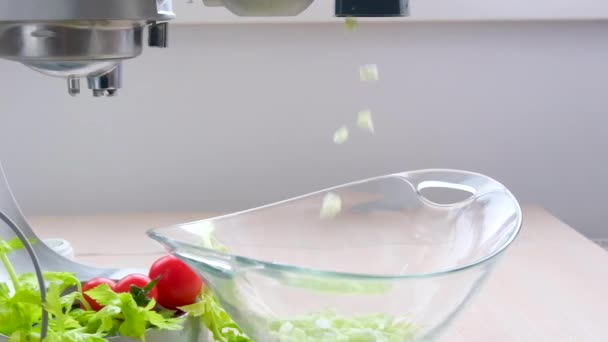 Selleriewürfel Fallen Aus Einer Küchenmaschine Kleinen Quadraten Neben Gemüse Und — Stockvideo