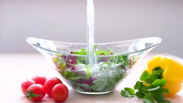 Verter Agua Lavar Verduras Verduras Verduras Cocina Deliciosa Comida Sana — Vídeo de stock