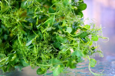 Buğday çimi. Masada bir kutu mikro yeşil bezelye, roka, turp var. Evde mikro büyüme tarımı, mikro büyüme çiftliği, organik bitkiler tarım sektörü. Yüksek kaliteli FullHD görüntüler