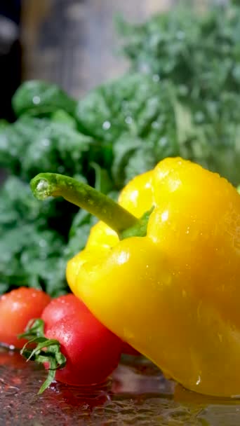 新鮮なカラフルなピーマンとサラダの葉野菜や水のドロップのクローズアップショット サイドパノラマドリーショット 高画質映像 — ストック動画