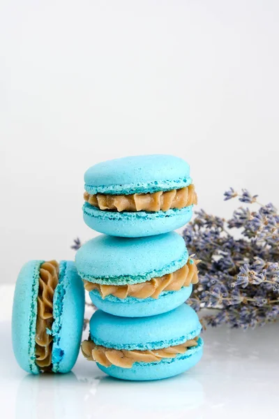 Pequenos Macarons Franceses Coloridos Gourmet Com Sabor Lavanda Lavanda Seca — Fotografia de Stock