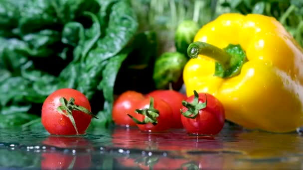 農家市場の屋外 水の滴 小さな地元の農場 農業の概念と有機野菜 新鮮な作物 トマトの収穫 ニンジン ハーブ コショウ アボカド — ストック動画