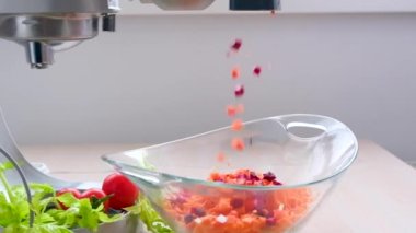 Haşlanmış havuçlu vejetaryen salatası, pancar, salatalık, fasulye ve kırmızı tırnaklı dişi ellerinde dönen otlar. Sağlıklı vejetaryen yaşam tarzı için sağlıklı kesilmiş sebzeler. Yüksek kalite