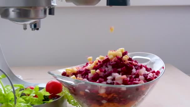 Slicing Vegetables Combine Cutting Industrial Mechanism Apparatus — Stock Video