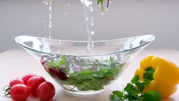 Slow Motion Shot Flying Cuts Colorful Vegetables Water Drops Super — Vídeo de Stock