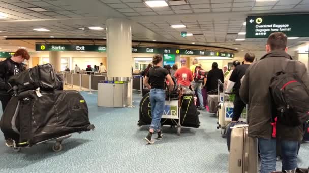 Люди Стоят Очереди Огромными Сумками Чемоданы Тележки Выходе Аэропорта Ванкувере — стоковое видео