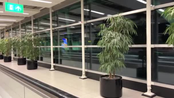 Μια Άδεια Αίθουσα Στο Αεροδρόμιο Του Άμστερνταμ Νύχτα Δεν Υπάρχουν — Αρχείο Βίντεο