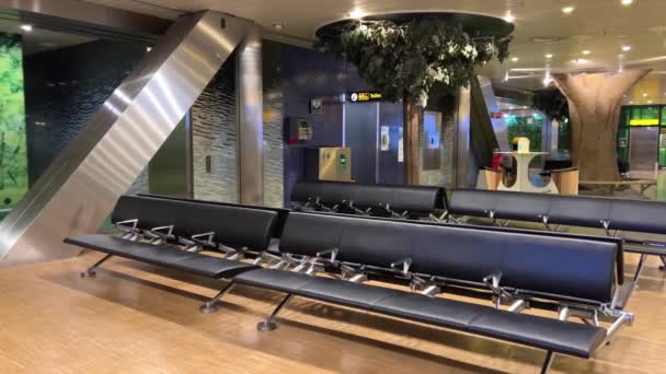 Hall Vide Aéroport Amsterdam Nuit Pas Personnes Escalator Plantes Plantées — Video