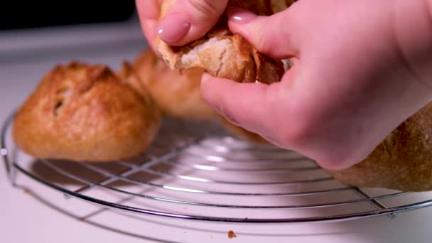 浓密的无酵母糕点女性的手打破新鲜但紧密自制的面包灰面卷美味妈妈的食物健康的面包店 — 图库视频影像