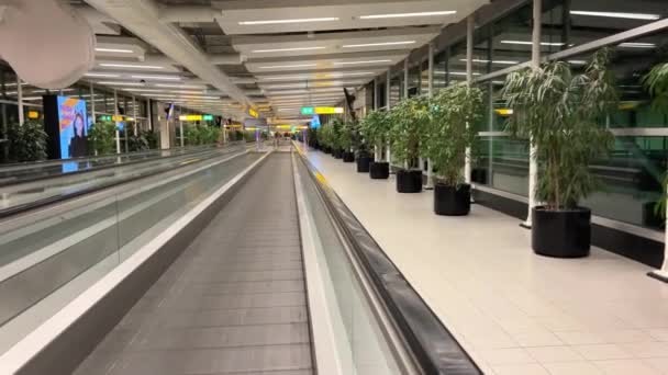 Пустой Зал Аэропорту Амстердаме Ночью Людей Эскалатор Деревья Посажены Рядом — стоковое видео