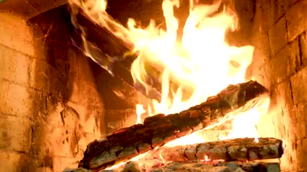 Luminoso Fuego Ardiente Parrilla Imágenes Fullhd Alta Calidad — Vídeo de stock