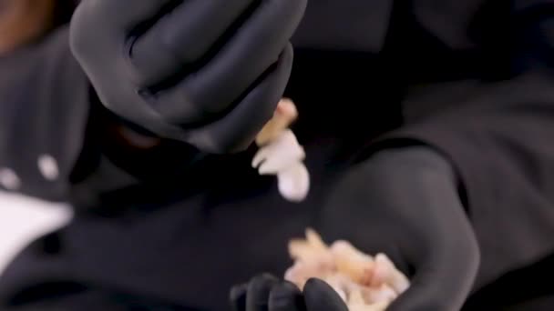 手拿着黑色手套的女人手拿着黑色手套从手到手倒着智齿拔牙黑色背景黑色衣服黑色牙齿拔牙可怕的视频 — 图库视频影像