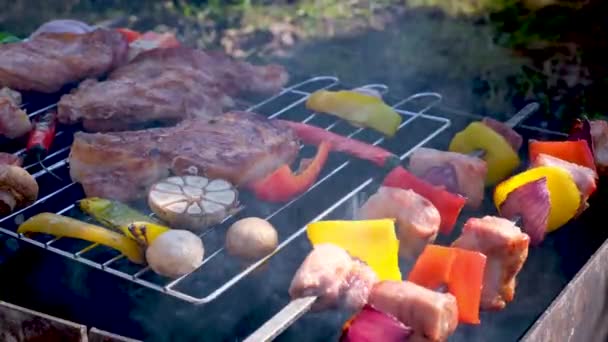 Barbacoa Kebab Cocido Parrilla Sobre Brasas Calientes Con Verduras Parrilla — Vídeos de Stock
