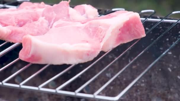 Auf Einer Küchentheke Steht Ein Großer Stapel Schweinekoteletts Aus Einem — Stockvideo