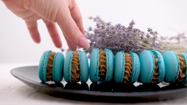 손으로 블루베리가 세라믹 접시에 포크를 보라색 쿠키를 시킨다 회색의 콘크리트 — 비디오