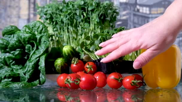 Вирощування Мікрозелень Приміщенні Жіночі Руки Розрізають Зелену Горохову Мікрозелень Ножицями — стокове відео