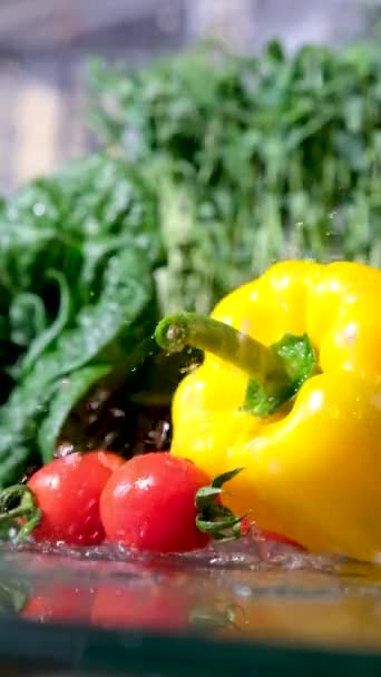 Slow Motion Close Filmación Hombre Lavando Tomates Con Agua Corriente — Vídeos de Stock
