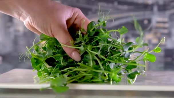 Coupe Les Micro Verts Verts Avec Grand Couteau Cuisine Sur — Video