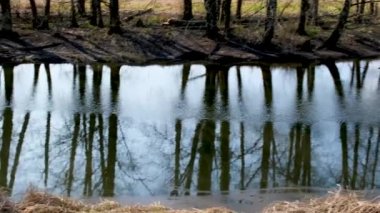 Kanada Surrey Bahar Nehri Kenar Mahallesi