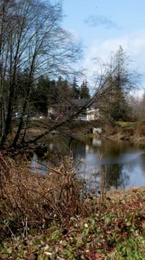 Surrey British Columbia, Kanada 'da bir dizi yeni ev. Evlerin ve sokağın ön bahçesinde ağaçlar ve çalılar var. Yüksek kalite fotoğraf