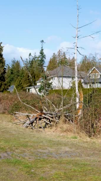 サリー ブリティッシュ コロンビア州 カナダの新しい家の行 木々や茂みと家や通りの前のヤード 高品質の写真 — ストック動画