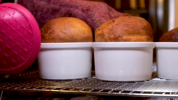Frauenhände Handschuhen Holen Frisch Gebackenes Brot Aus Dem Offenen Ofen — Stockvideo