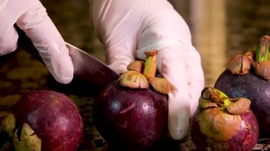 Bıçakla kesilen el, kesilen mangosteen kabuğu. Yüksek kalite 4K görüntü aşçı küçük bıçaklı kadın Tayland 'dan gelen egzotik meyveleri beyaz eldivenli egzotik bir restoranda mermer bir masada kesiyor.