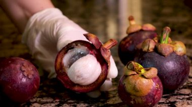 Beyaz eldivenli kadın eli mor bir tropikal meyve mangosenini döndürerek Asya 'daki bir restoranın içinde ne olduğunu gösterir. Tayland' a özgü lezzetli meyveler.