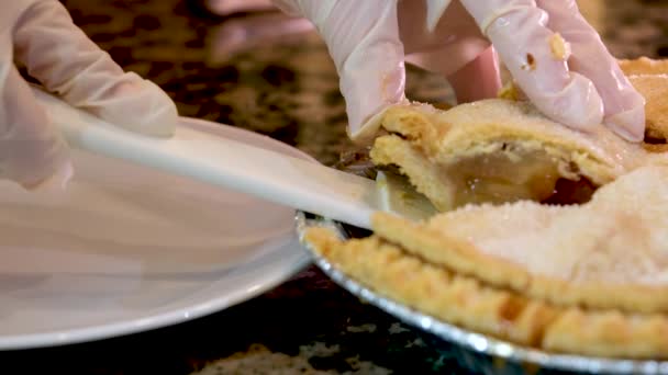 Leckeres Dessertstück Vom Zimt Apfelkuchen Mit Puderzucker Auf Einem Weißen — Stockvideo