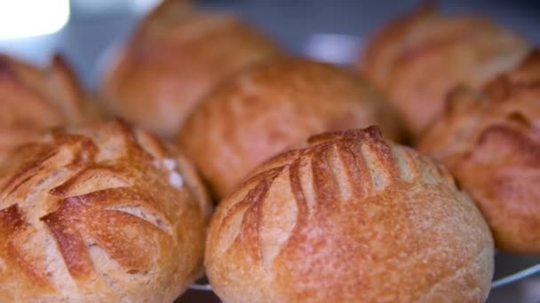 Modern Food Background Brot Verschiedenen Formen Ist Der Vitrine Sehen — Stockvideo