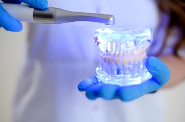 Steril aletler dişçi ofisinde. Ayna ve çenenin yapısı ortodontistin masasının üzerinde duruyor. Ağız temizliği, bakteri önleme, muayene. Yüksek kalite fotoğraf