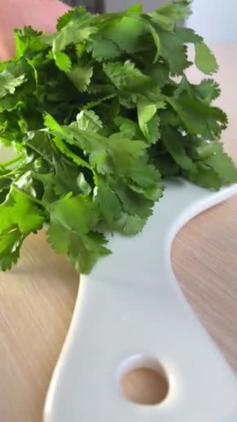 Zöldséget Szeletelek Valaki Petrezselymet Vág Séf Szeleteli Cilantrót Főzéshez Kiváló — Stock videók