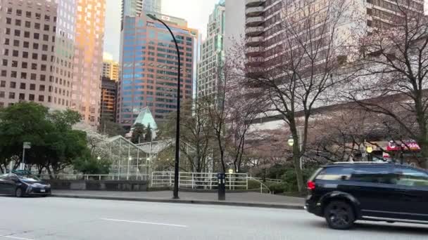 温哥华 加拿大 2023大城市 摩天大楼 高大的新旧房屋 办公室道路 每天傍晚 城市车辆 现实生活慢镜头 电视新闻 — 图库视频影像
