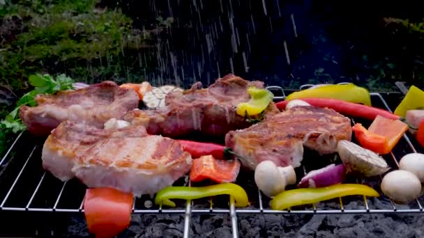 Barbecue Cutlets Look Very Tasty Cooked Hamburger Hot Open Fire — Stockvideo