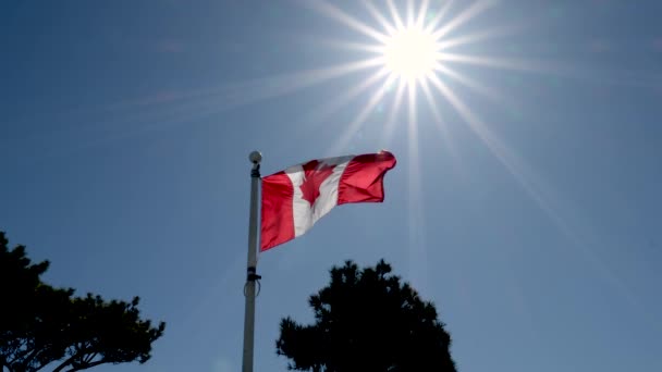Εθνική Σημαία Του Καναδά Κυματίζει Στον Γαλάζιο Ουρανό Ιπτάμενα Πουλιά — Αρχείο Βίντεο