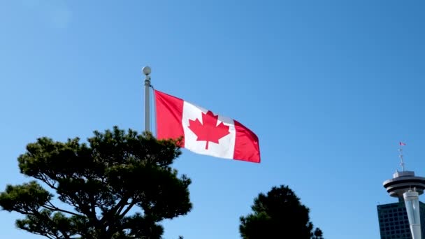 National Canadian Flag Overlay Canada Place Commercial Buildings Downtown Vancouver — Stock Video