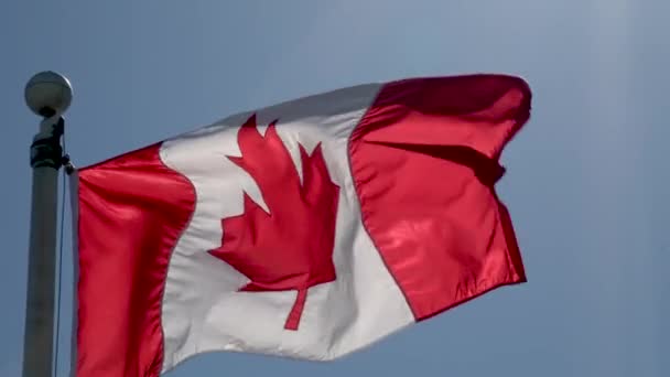 Σημαία Καναδά Στο Παλιό Ρετρό Εφέ Φόντου Κλείστε Από Κοντά — Αρχείο Βίντεο