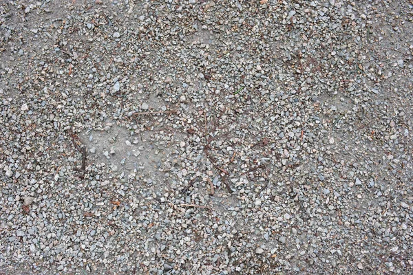 光滑圆形卵石质感背景 鹅卵石海滩特写 暗湿鹅卵石和灰色干鹅卵石 高质量的照片 — 图库照片