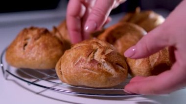  Taze pişmiş çörekler kafes dişisinin ellerinde yuvarlak bir ekmek hamuru lezzetli ve sağlıklı hamur hamuru kırsal gıdalar un suyundan elde edilen doğal ürünler ve tüm aile için sağlıklı ekmek.