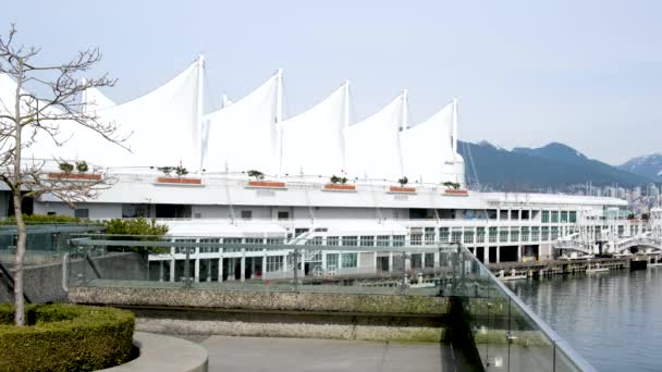 加拿大温哥华下城的五条船2023年 — 图库视频影像