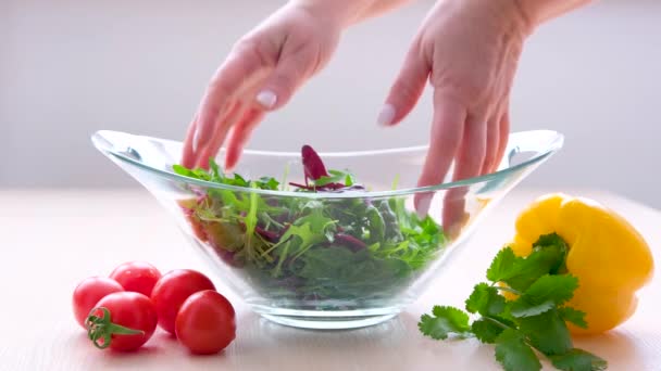 Mãos Mulher Primeiro Plano Misturando Com Ingredientes Vegetais Salada Deliciosa — Vídeo de Stock