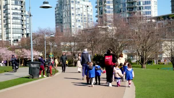 美丽的大自然人们在阳光明媚的日子喜欢公园 美丽的樱花在背景上 温哥华 不列颠哥伦比亚 加拿大 林大伟公园2023年4月 — 图库视频影像