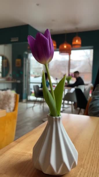 Café Pessoas Tulipa Par Pessoas Irreconhecíveis Sentados Fundo Relação Amor — Vídeo de Stock
