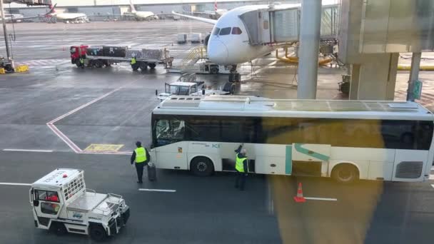 Chargement Des Bagages Une Voiture Spéciale Dans Aéroport Aérodrome Bus — Video