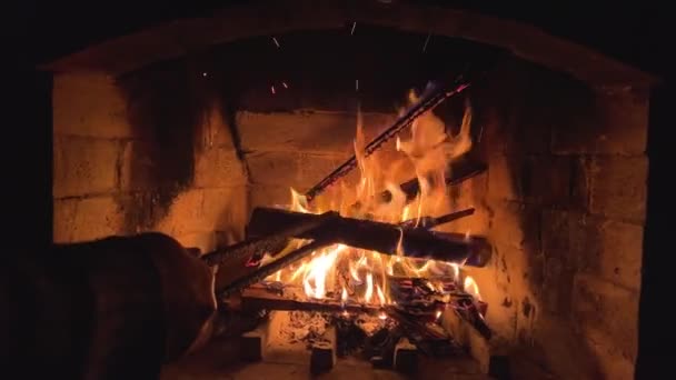 Home Heating Wood Using Stone Wood Burning Stove Heating Season — Stock Video