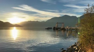 Sonbaharda Porteau Cove Provincial Park, British Columbia, Kanada. Yüksek kaliteli FullHD görüntüler