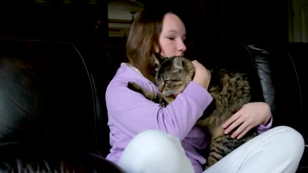 Onaardig Schadelijke Kat Wil Niet Knuffelen Met Meisje Hij Breekt — Stockvideo